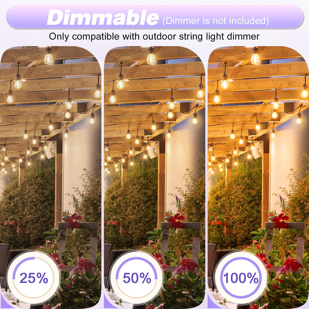 GvvooHome S14 1W bulbs delivering warm light and energy savings.