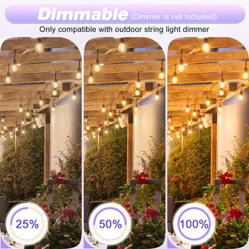 GvvooHome S14 1W bulbs delivering warm light and energy savings.