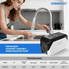 Gwanzi booster pump assembly detail shows axis-aligned inlet and outlet.