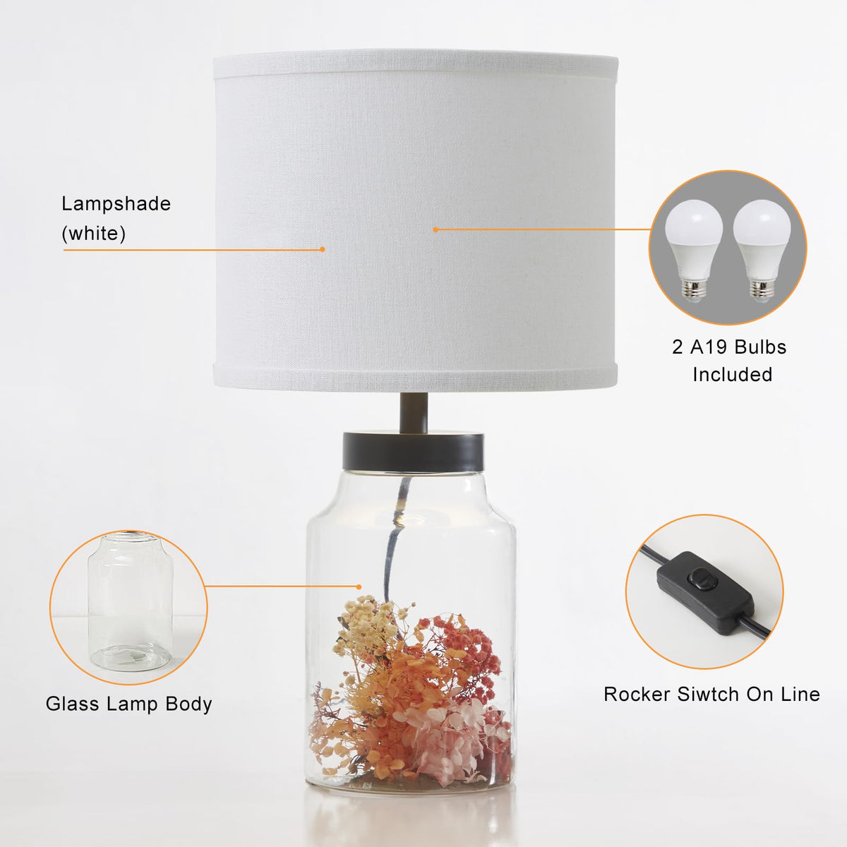 GyroVu fillable lamp decor supports seashells or dried flowers.