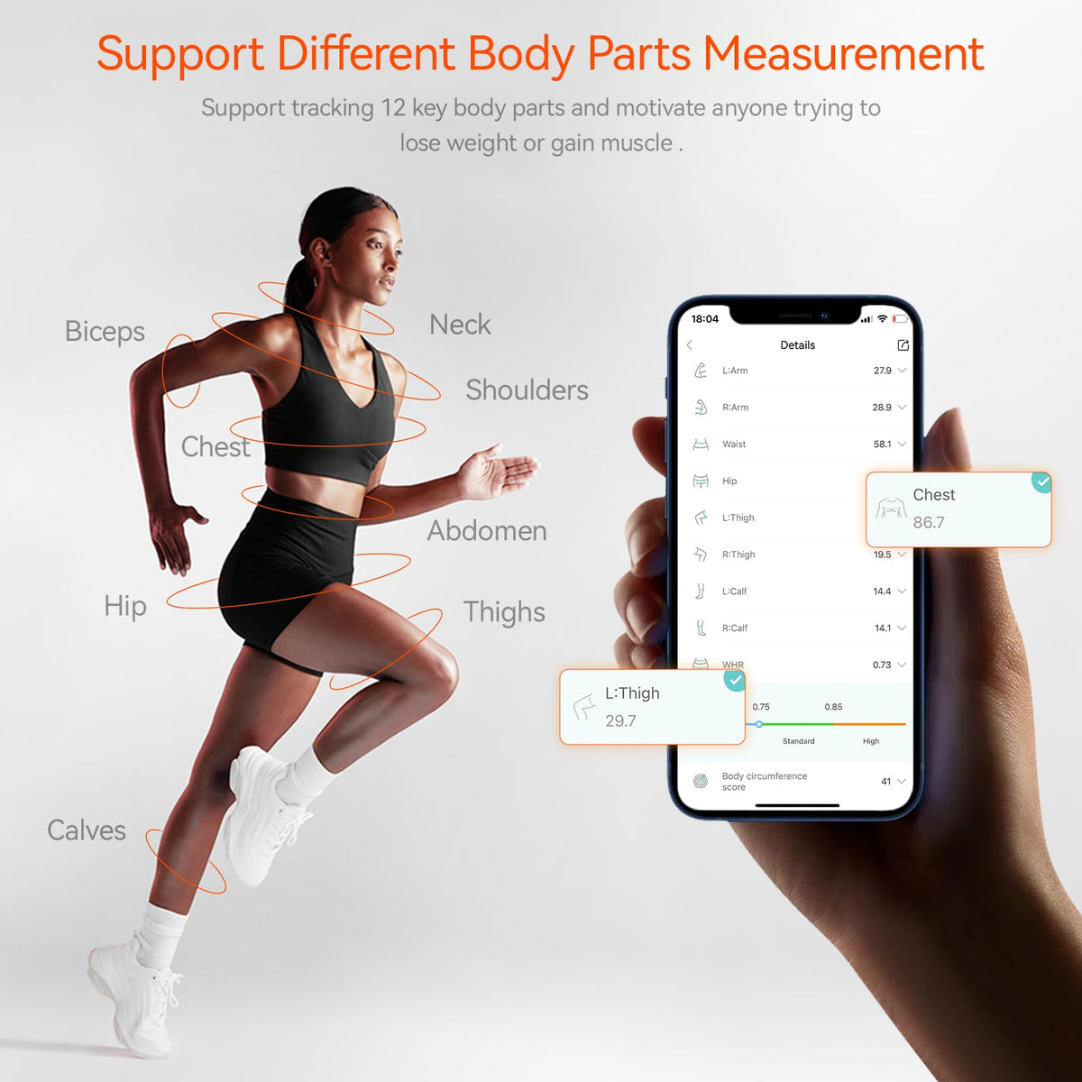 HAIZHIHUI Fitdays records bust, waist, and hips for a full profile