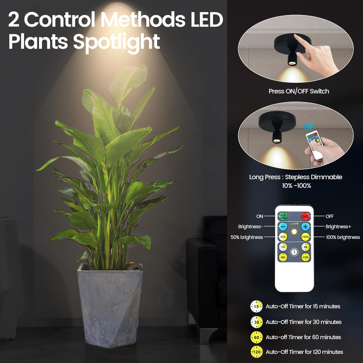 HAMVIDNE LED spotlight head swivels to sweep lighting across artwork.