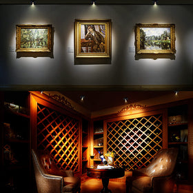 HAMVIDNE art display light offers precise angle for paintings and photos