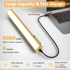 Hapfish 360-degree rotating magnetic bracket for flexible beam direction.