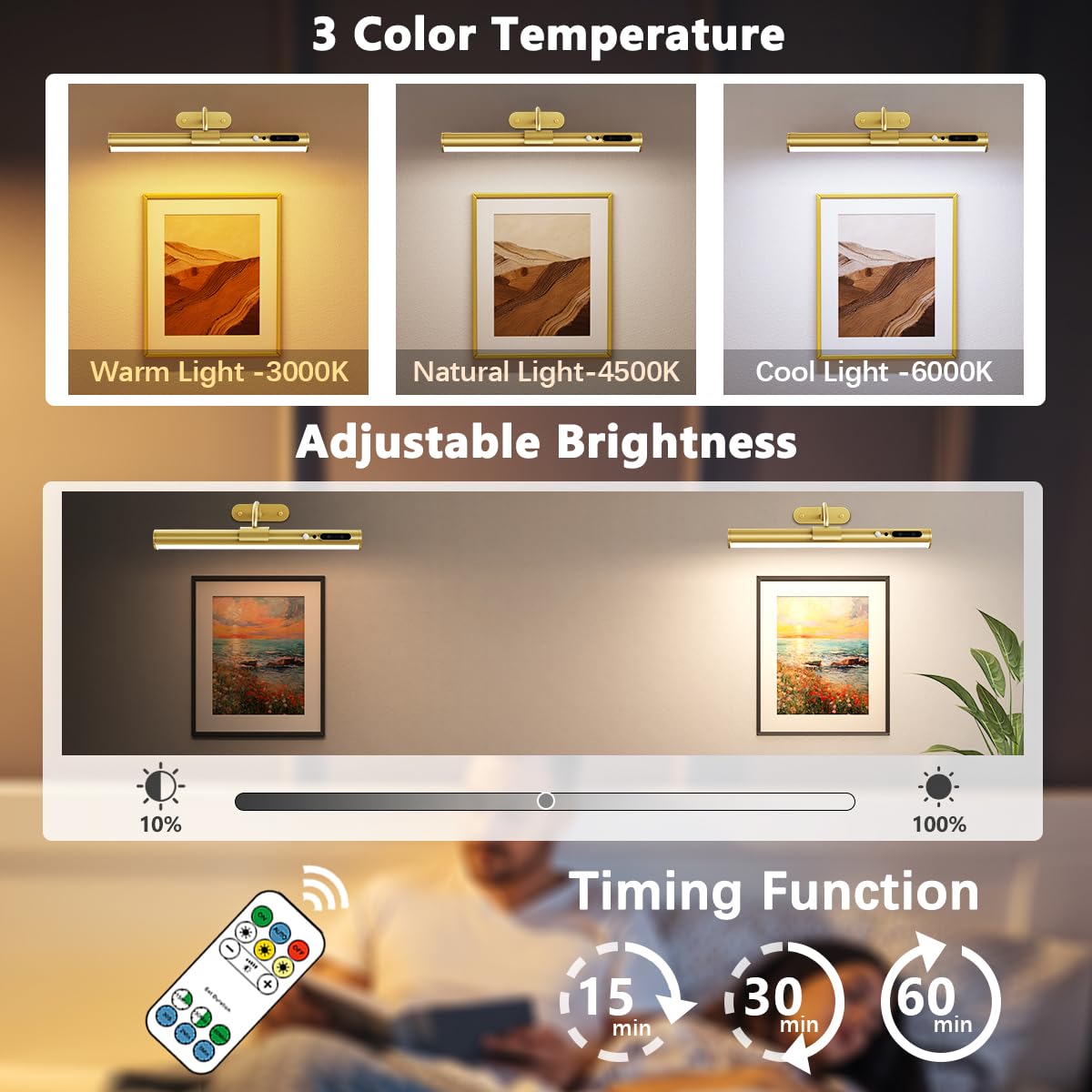 Hapfish battery-operated picture light with dimmable brightness for art displays.
