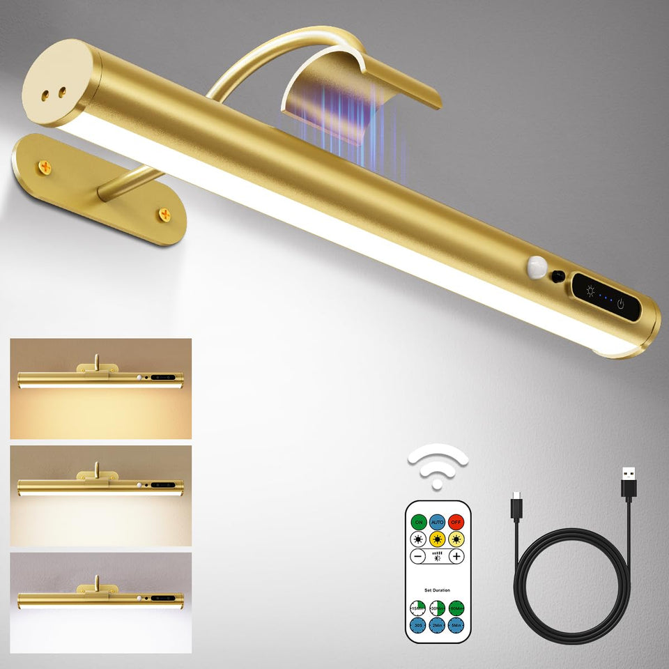 Hapfish motion-sensor wall sconce with remote for easy gallery lighting.