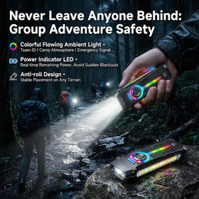 HAUSBELL Flat EDC Flashlight UV light reveals hidden stains and pet marks.