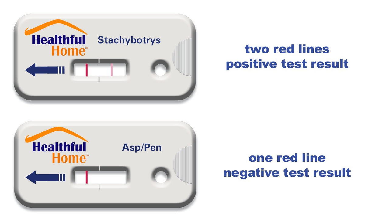 Healthful Home mold test strip detection showing spores for near real-time awareness.
