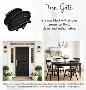 Color card display for Heirloom Traditions ALL-IN-ONE Paint Iron Gate previews true shade.