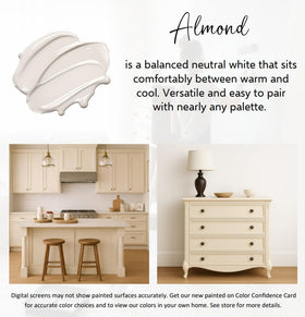 ALL-IN-ONE paint color swatch card helps pick true almond shade.
