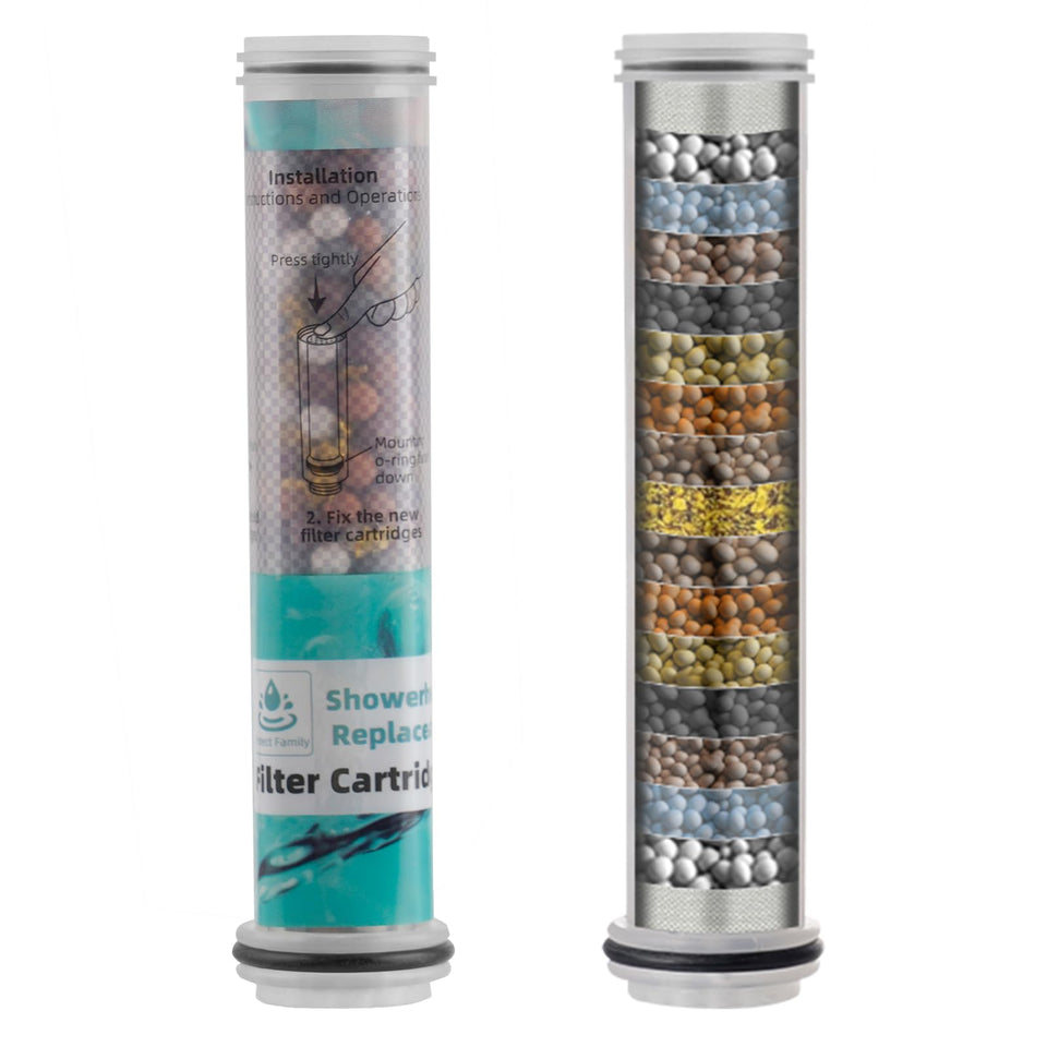 Hibbent 2-pack replacement filter ready for quick swap in your 10-spray shower head.