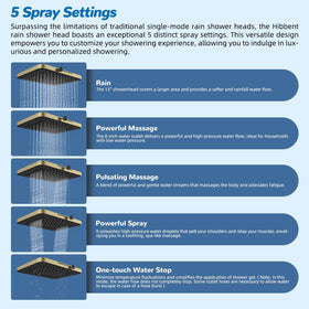 Hibbent handheld 10-spray shower head offers versatile cleansing and rinsing.