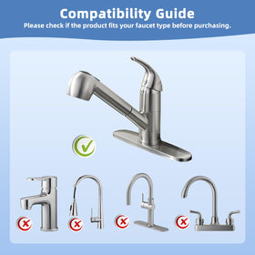 Hibbent pull-out head seated on standard hose compatible with most systems