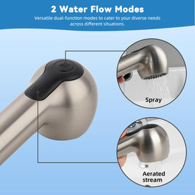 Hibbent sprayer head with two modes for everyday stream and powerful cleaning.
