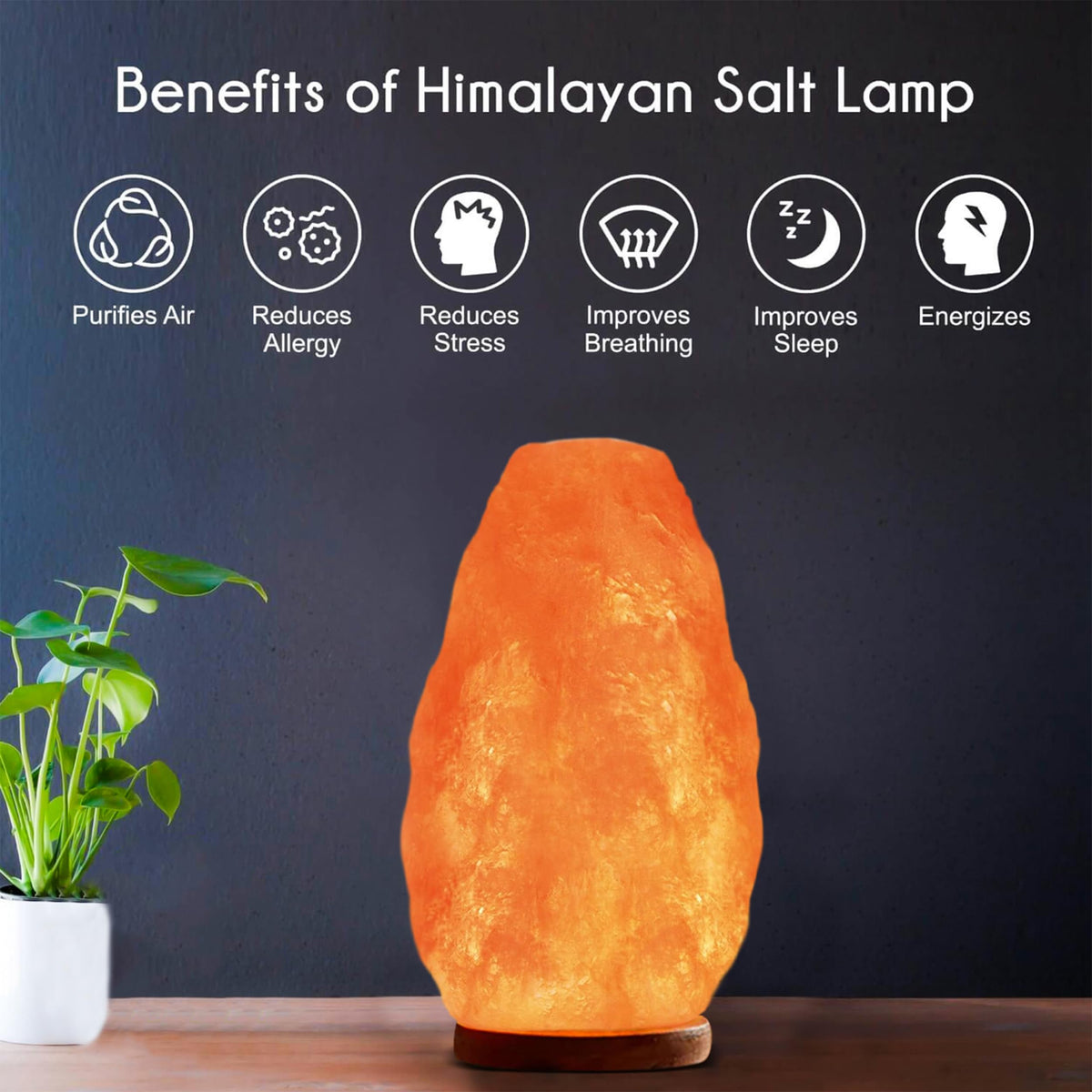 Himalayan Glow 6.6ft cord enables flexible placement.