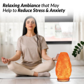 Himalayan Glow WBM 5-7 lb lamp sits securely on shelves