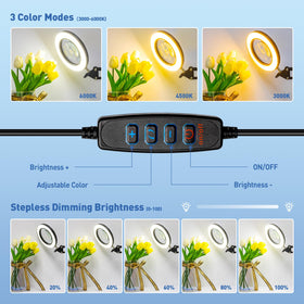 HITTI real glass lens offering distortion-free viewing