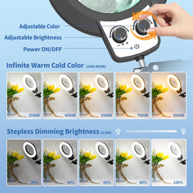 HITTI infinite color brightness control allows custom lighting for detailed work.