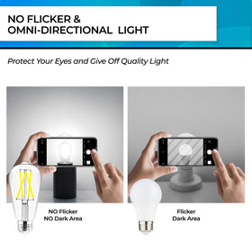 Hizashi 5000K daylight bulb offering high CRI for true-to-life colors