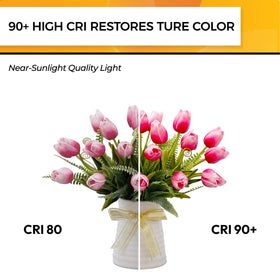 Hizashi E12 LED bulb with 90+ CRI enhances decor colors.