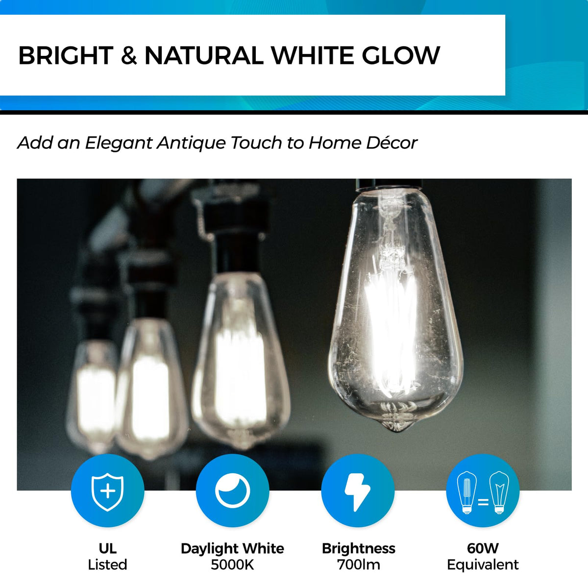 Hizashi E26 base LED Edison bulb compatible with standard sockets