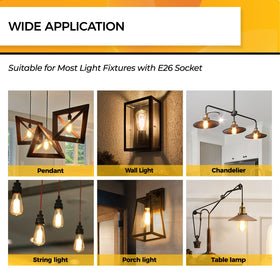 Hizashi 12-pack Edison bulbs reduce replacement frequency.