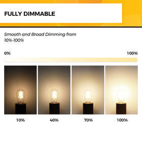 Hizashi LED Edison bulbs dimmable setup, ideal for mood lighting and task lighting.