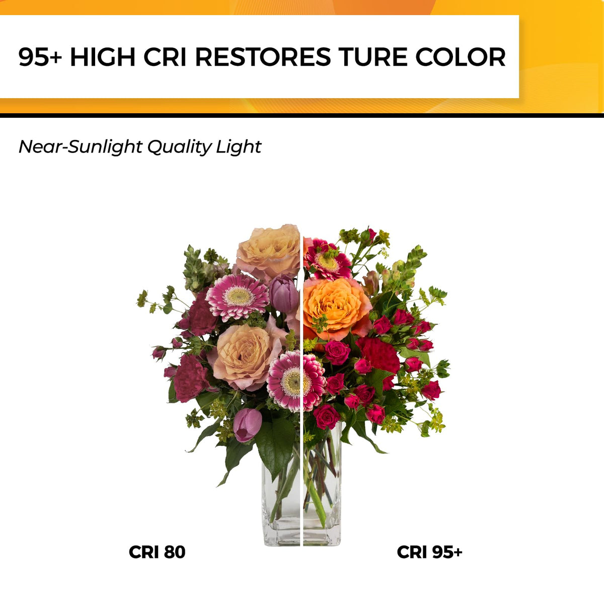 Hizashi LED Edison bulbs with E26 base, broad fixture compatibility.