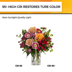 Hizashi LED Edison bulbs with E26 base, broad fixture compatibility.