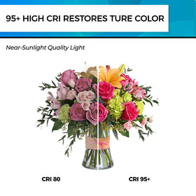 Hizashi bulb in pendant lighting setup for elegant overhead illumination