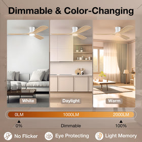 Hoenofly indoor/outdoor flush-mount design for covered spaces