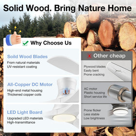 Hoenofly dimmable color-changing LED lights for warm to cool tones.