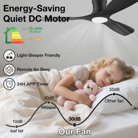 Hoenofly quiet-dc-motor delivers strong airflow with whisper-quiet operation.