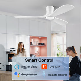 Hoenofly fan remote and app control with Alexa compatibility.
