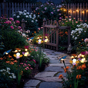 Gift-ready Hoikwo solar lighting set suitable for outdoor gifting