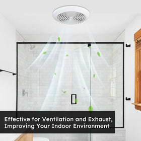 Holdly V2262-50 in a small bathroom aiding moisture removal