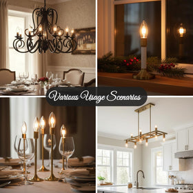 Crystal-clear glass night light bulb from Holiday Joy for indoor décor