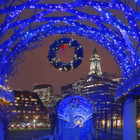 HOME LIGHTING green wire blue LEDs suited for versatile outdoor installations
