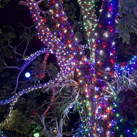 HOME LIGHTING red blue white LEDs offer vibrant Independence Day color display.