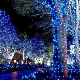 HOME LIGHTING waterproof blue LED string for garden and patio use