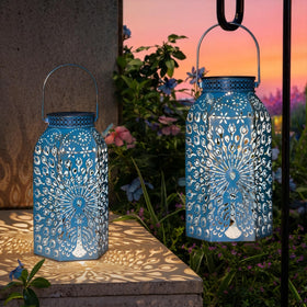 HOMEIMPRO peacock lantern in blue and gold enhances outdoor ambience