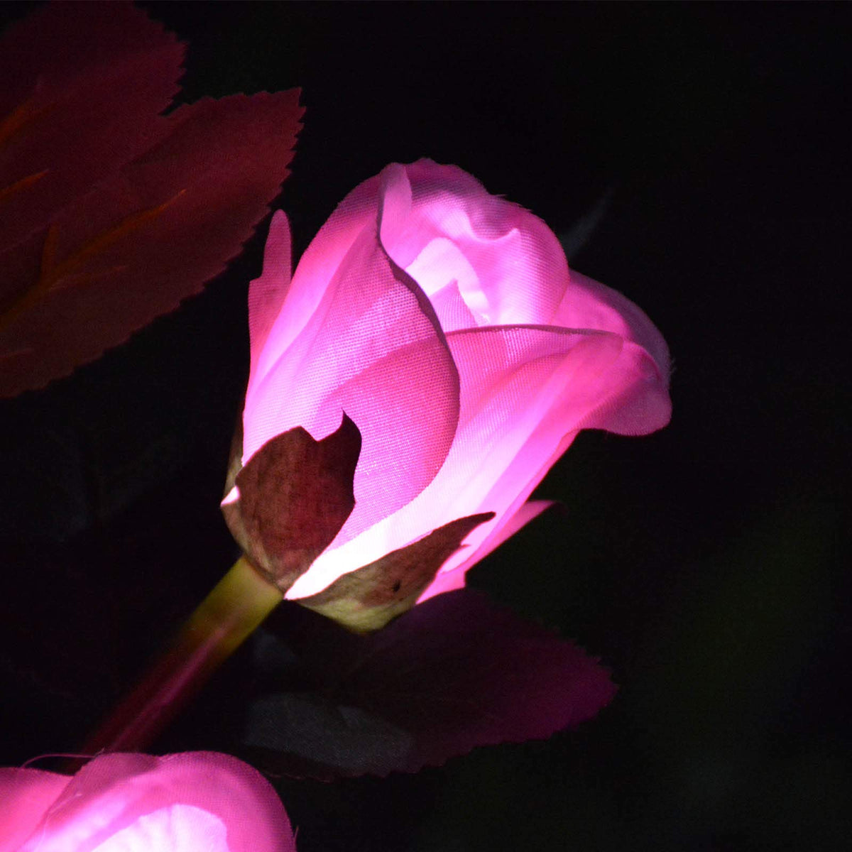 Homeleo 6-flowers stake lights weatherproof IP65 for outdoors.