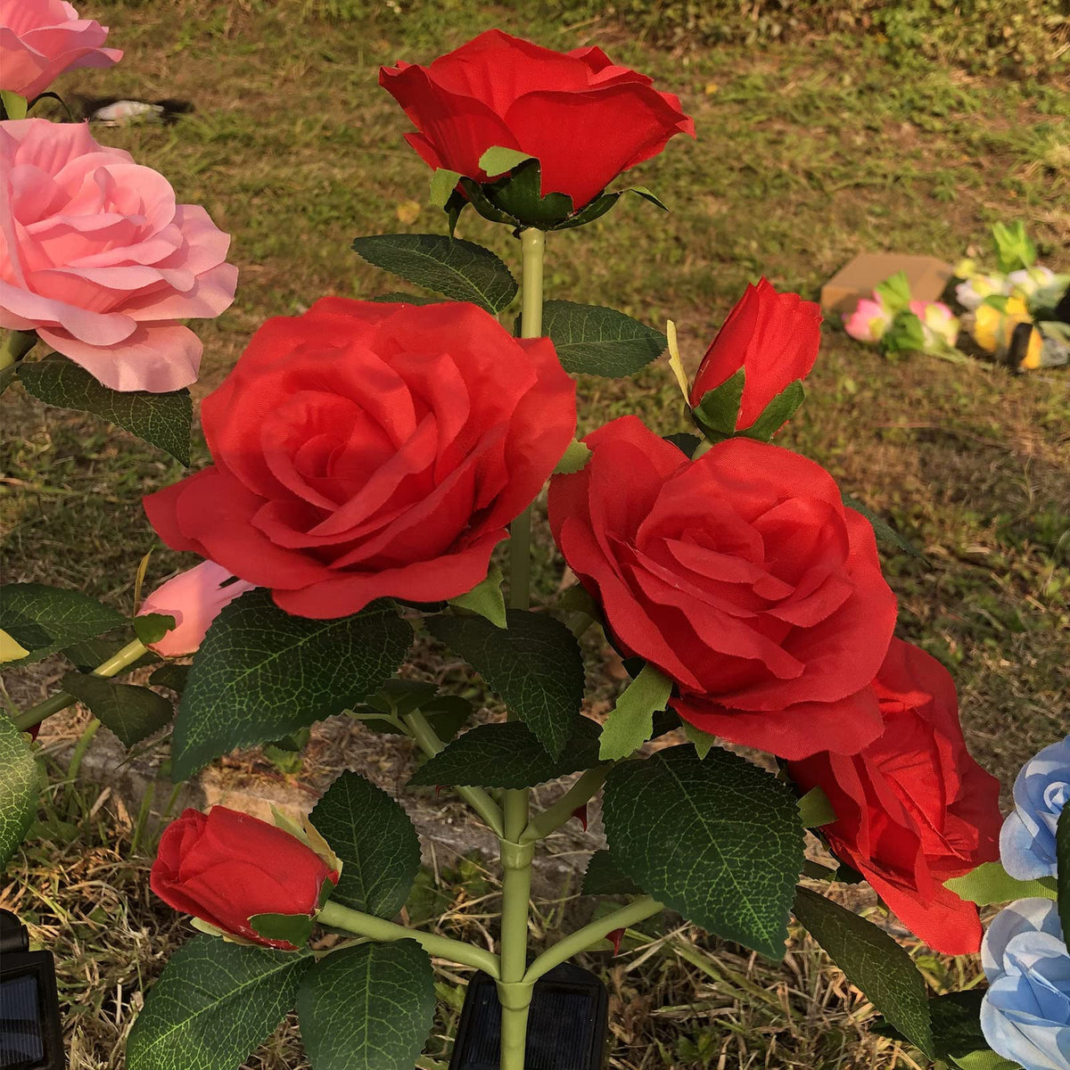 Homeleo flexible rose stake allows angle adjustment for display.