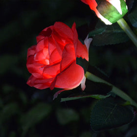 Homeleo realistic rose silhouette glows at night adding charm.
