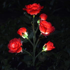 Homeleo upgraded 6 flowers stake lights illuminate garden walkway.