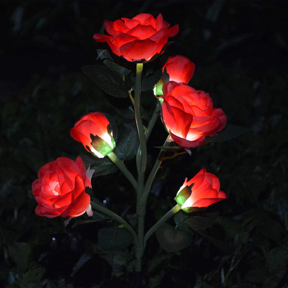 Homeleo upgraded 6 flowers stake lights illuminate garden walkway.