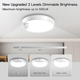 Homelist damp-area rated ceiling light for bathrooms and showers.