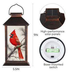 Homemory waterproof IP44 lantern withstands rain and sun for year-round use.