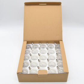 Hometown Evolution G50 clear globe bulb closeup showing bright illumination.