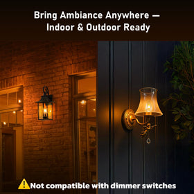 Backed by 10-year after-sale support for reliable holiday lighting.